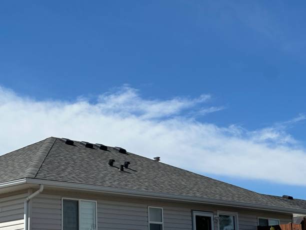 Best Green or Eco-Friendly Roofing Solutions  in Sun Prairie, MT